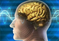 zeki insanların özellikleri